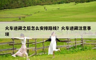 火车进藏之后怎么安排路线？火车进藏注意事项