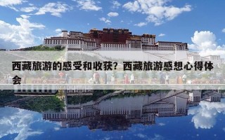 西藏旅游的感受和收获？西藏旅游感想心得体会