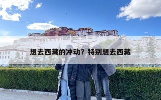 想去西藏的冲动？特别想去西藏