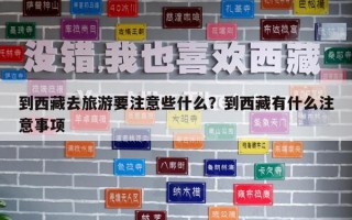 到西藏去旅游要注意些什么？到西藏有什么注意事项