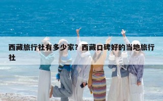 西藏旅行社有多少家？西藏口碑好的当地旅行社