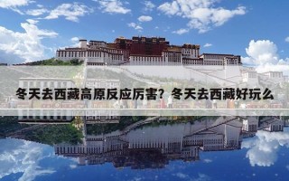 冬天去西藏高原反应厉害？冬天去西藏好玩么