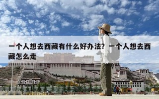 一个人想去西藏有什么好办法？一个人想去西藏怎么走