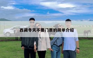 西藏冬天不要门票的简单介绍