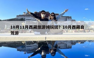 10月11月西藏旅游纯玩团？10月西藏自驾游