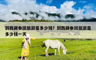 到西藏参团旅游是多少钱？到西藏参团旅游是多少钱一天