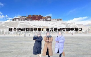 适合进藏有哪些车？适合进藏有哪些车型