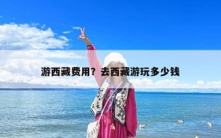 游西藏费用？去西藏游玩多少钱