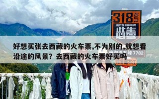 好想买张去西藏的火车票,不为别的,就想看沿途的风景？去西藏的火车票好买吗