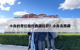 小白的奇幻旅行西藏拉萨？小白去西藏