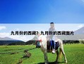 九月份的西藏？九月份的西藏图片