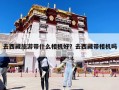 去西藏旅游带什么相机好？去西藏带相机吗