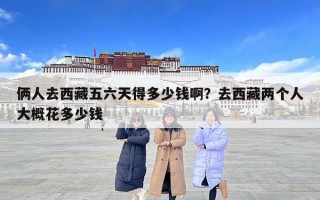 俩人去西藏五六天得多少钱啊？去西藏两个人大概花多少钱