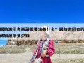 跟旅游团去西藏需要准备什么？跟旅游团去西藏旅游带多少钱