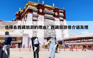 选择去西藏旅游的理由？西藏旅游推介语及理由