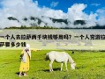 一个人去拉萨两千块钱够用吗？一个人穷游拉萨要多少钱