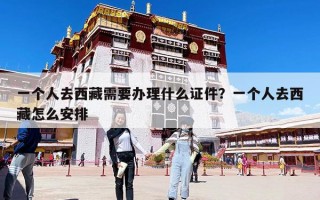 一个人去西藏需要办理什么证件？一个人去西藏怎么安排