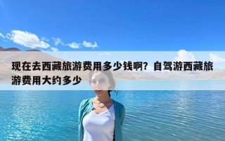 现在去西藏旅游费用多少钱啊？自驾游西藏旅游费用大约多少
