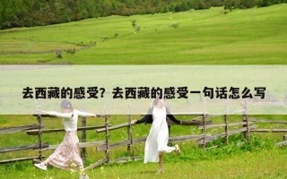 去西藏的感受？去西藏的感受一句话怎么写