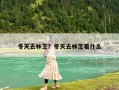 冬天去林芝？冬天去林芝看什么