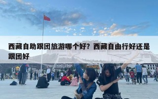 西藏自助跟团旅游哪个好？西藏自由行好还是跟团好