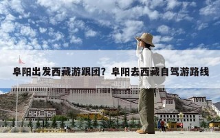 阜阳出发西藏游跟团？阜阳去西藏自驾游路线