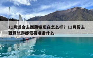 11月适合去西藏嘛现在怎么样？11月份去西藏旅游都需要准备什么
