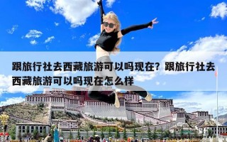 跟旅行社去西藏旅游可以吗现在？跟旅行社去西藏旅游可以吗现在怎么样