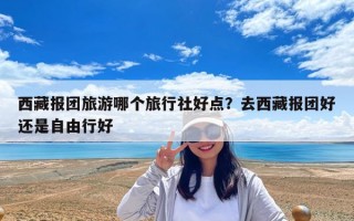 西藏报团旅游哪个旅行社好点？去西藏报团好还是自由行好