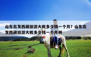 山东出发西藏旅游大概多少钱一个月？山东出发西藏旅游大概多少钱一个月啊