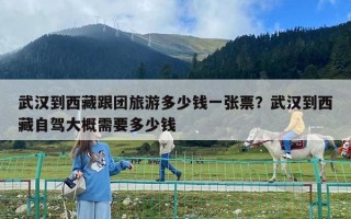 武汉到西藏跟团旅游多少钱一张票？武汉到西藏自驾大概需要多少钱