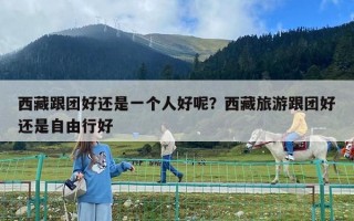 西藏跟团好还是一个人好呢？西藏旅游跟团好还是自由行好