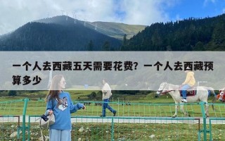 一个人去西藏五天需要花费？一个人去西藏预算多少
