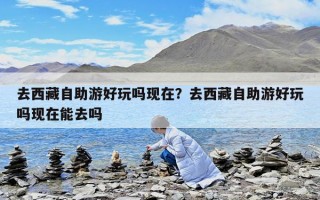去西藏自助游好玩吗现在？去西藏自助游好玩吗现在能去吗