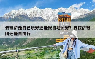 去拉萨是自己玩好还是报当地团好？去拉萨报团还是自由行