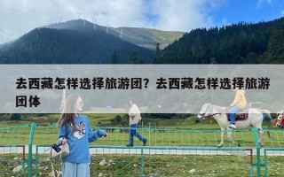 去西藏怎样选择旅游团？去西藏怎样选择旅游团体
