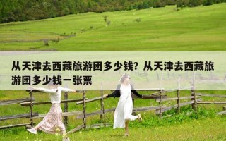 从天津去西藏旅游团多少钱？从天津去西藏旅游团多少钱一张票