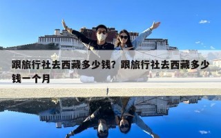 跟旅行社去西藏多少钱？跟旅行社去西藏多少钱一个月