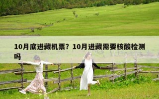 10月底进藏机票？10月进藏需要核酸检测吗