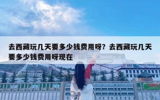 去西藏玩几天要多少钱费用呀？去西藏玩几天要多少钱费用呀现在