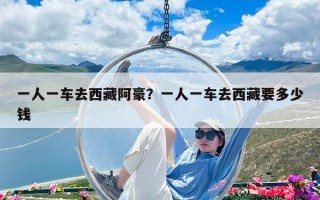 一人一车去西藏阿豪？一人一车去西藏要多少钱