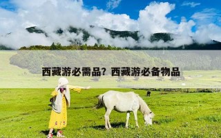 西藏游必需品？西藏游必备物品