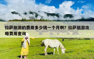 拉萨旅游的费用多少钱一个月啊？拉萨旅游攻略费用查询