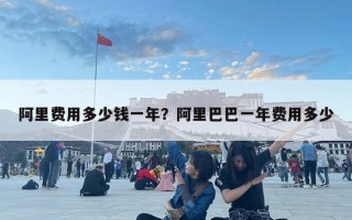 阿里费用多少钱一年？阿里巴巴一年费用多少