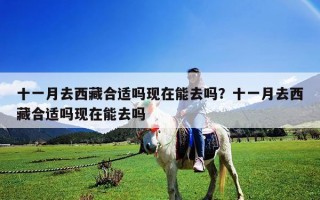 十一月去西藏合适吗现在能去吗？十一月去西藏合适吗现在能去吗