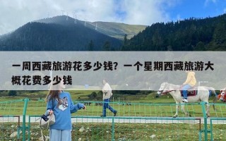 一周西藏旅游花多少钱？一个星期西藏旅游大概花费多少钱