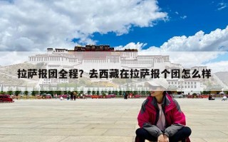 拉萨报团全程？去西藏在拉萨报个团怎么样