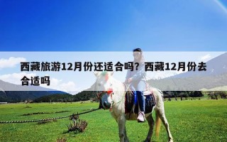 西藏旅游12月份还适合吗？西藏12月份去合适吗