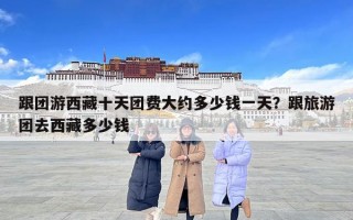 跟团游西藏十天团费大约多少钱一天？跟旅游团去西藏多少钱