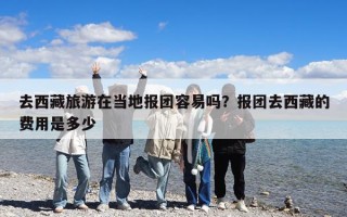 去西藏旅游在当地报团容易吗？报团去西藏的费用是多少